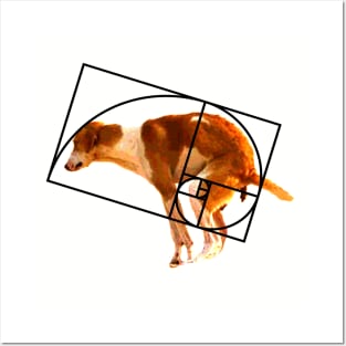 FIbonacci golden ratio dog Posters and Art